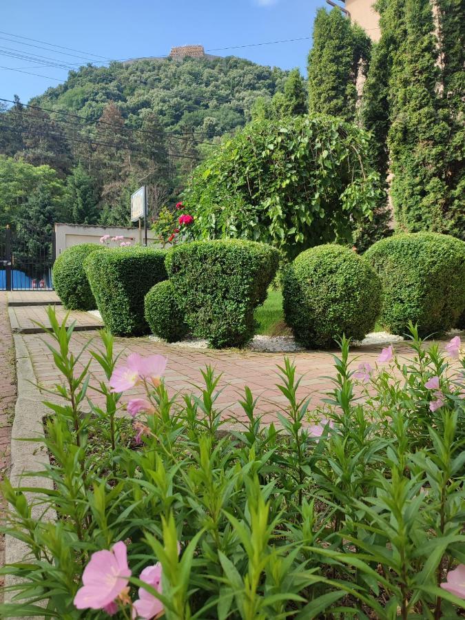 Hotel Casa Alina Deva Zewnętrze zdjęcie