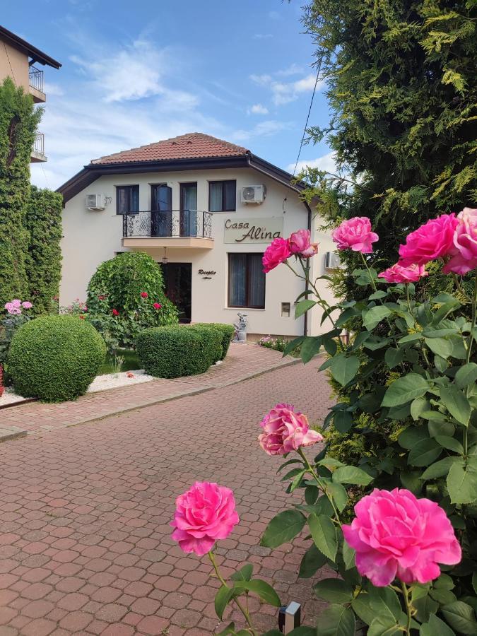 Hotel Casa Alina Deva Zewnętrze zdjęcie