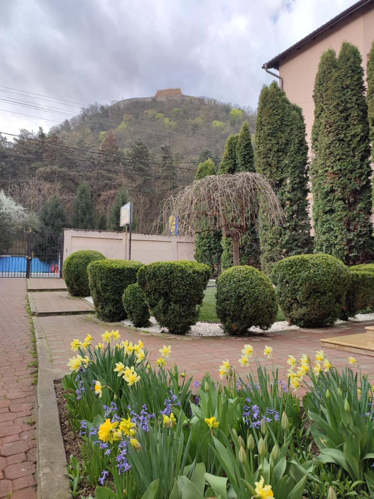 Hotel Casa Alina Deva Pokój zdjęcie